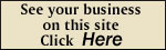 See Your Business On-Line